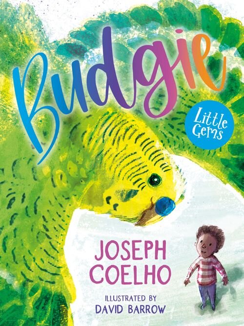 BUDGIE - Little Gems - Dyslexia Friendly