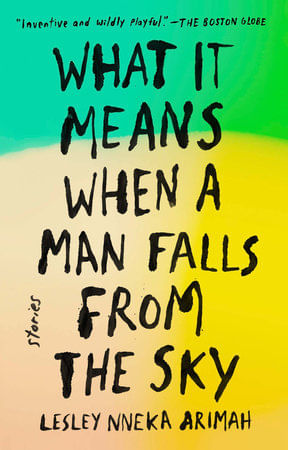 WHAT IT MEANS WHEN A MAN FALLS FROM THE SKY - Riverhead Books
