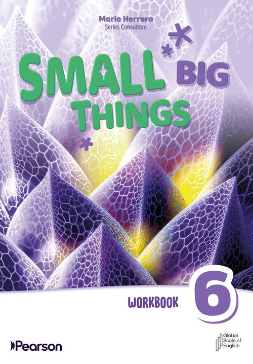 SMALL BIG THINGS 6 - WORKBOOK WITH EBOOK AND ONLINE PRACTICE