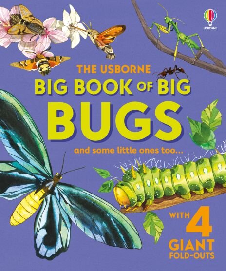 BIG BOOK OF BIG BUGS - Usborne