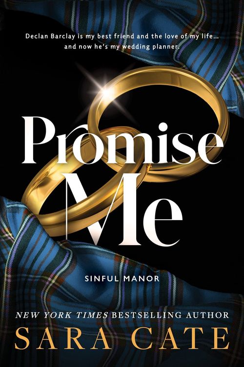 SINFUL MANOR 2 : PROMISE ME - Sourcebooks
