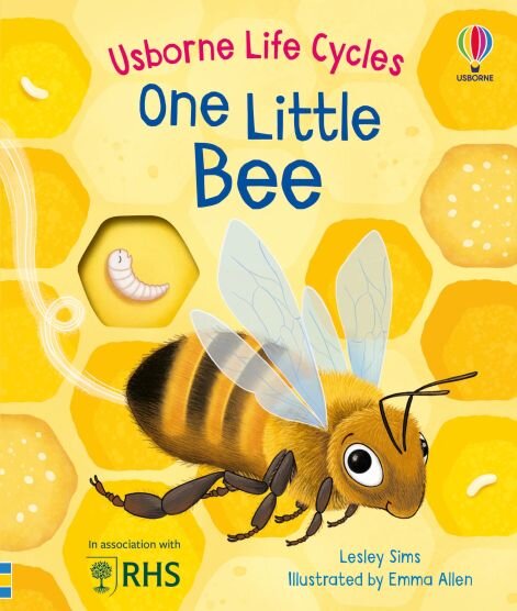 ONE LITTLE BEE - Usborne Life Cycles