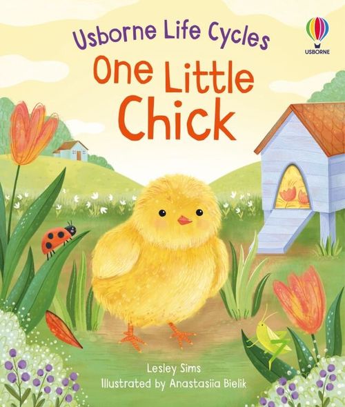 ONE LITTLE CHICK - Usborne Life Cycles