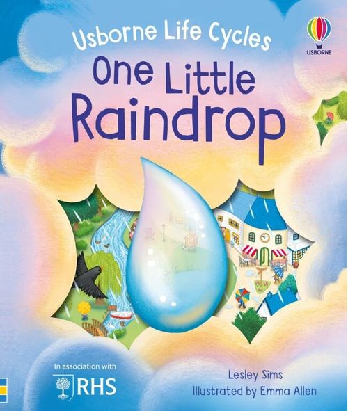 ONE LITTLE RAINDROP - Usborne Life Cycles