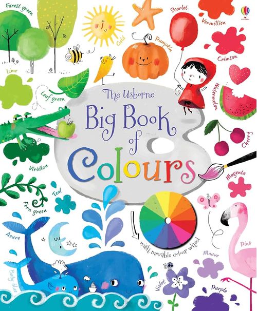 BIG BOOK OF COLOURS - Usborne