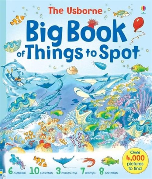 BIG BOOK OF THINGS TO SPOT - Usborne